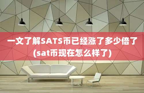 一文了解SATS币已经涨了多少倍了(sat币现在怎么样了)