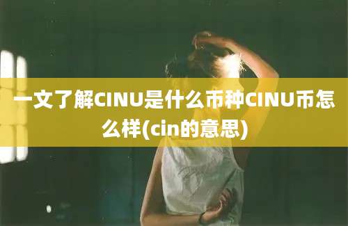 一文了解CINU是什么币种CINU币怎么样(cin的意思)