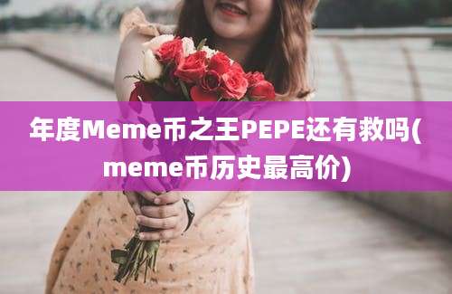 年度Meme币之王PEPE还有救吗(meme币历史最高价)