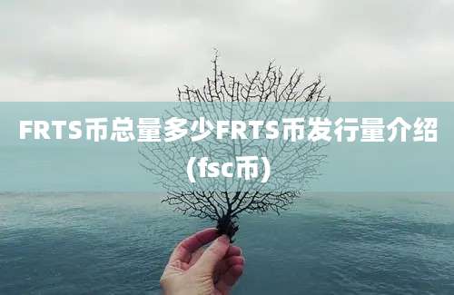 FRTS币总量多少FRTS币发行量介绍(fsc币)