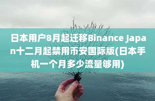 日本用户8月起迁移Binance Japan十二月起禁用币安国际版(日本手机一个月多少流量够用)