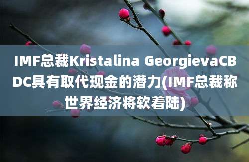 IMF总裁Kristalina GeorgievaCBDC具有取代现金的潜力(IMF总裁称世界经济将软着陆)