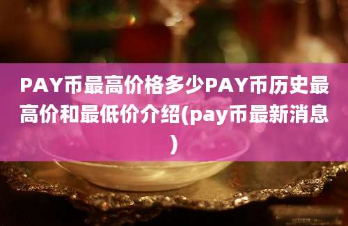 PAY币最高价格多少PAY币历史最高价和最低价介绍(pay币最新消息)