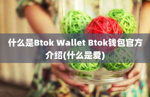 什么是Btok Wallet Btok钱包官方介绍(什么是爱)