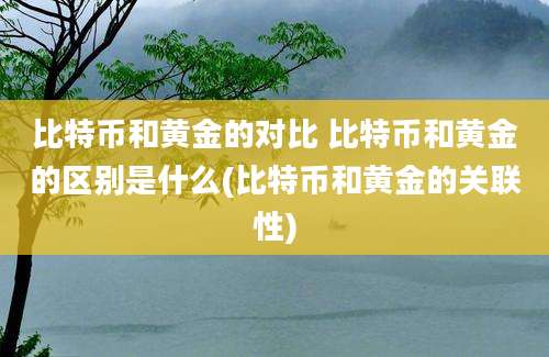 比特币和黄金的对比 比特币和黄金的区别是什么(比特币和黄金的关联性)