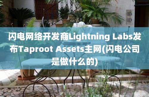 闪电网络开发商Lightning Labs发布Taproot Assets主网(闪电公司是做什么的)