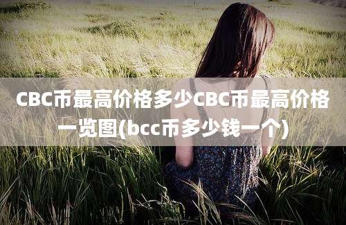 CBC币最高价格多少CBC币最高价格一览图(bcc币多少钱一个)