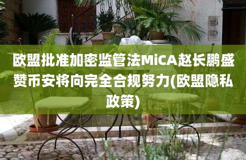 欧盟批准加密监管法MiCA赵长鹏盛赞币安将向完全合规努力(欧盟隐私政策)