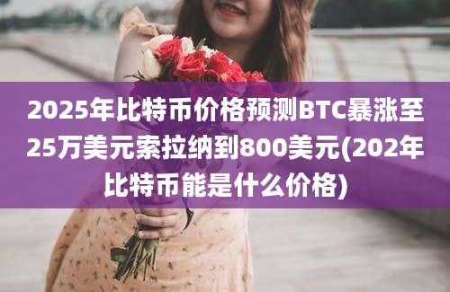 2025年比特币价格预测BTC暴涨至25万美元索拉纳到800美元(202年比特币能是什么价格)