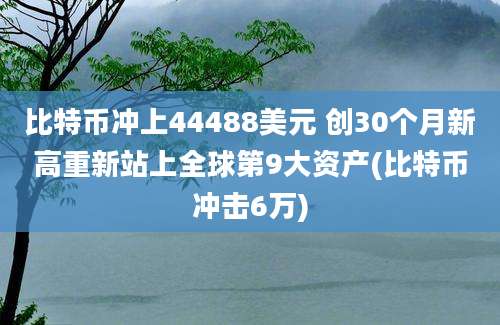 比特币冲上44488美元 创30个月新高重新站上全球第9大资产(比特币冲击6万)