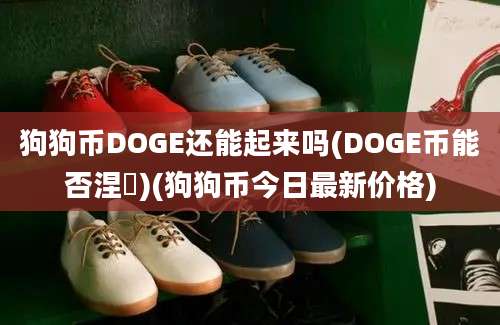 狗狗币DOGE还能起来吗(DOGE币能否涅槃)(狗狗币今日最新价格)