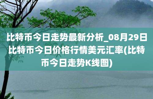 比特币今日走势最新分析_08月29日比特币今日价格行情美元汇率(比特币今日走势K线图)