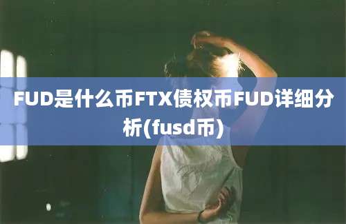 FUD是什么币FTX债权币FUD详细分析(fusd币)