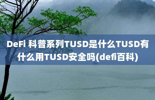 DeFi 科普系列TUSD是什么TUSD有什么用TUSD安全吗(defi百科)