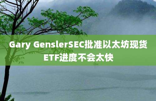 Gary GenslerSEC批准以太坊现货ETF进度不会太快