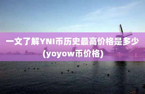 一文了解YNI币历史最高价格是多少(yoyow币价格)