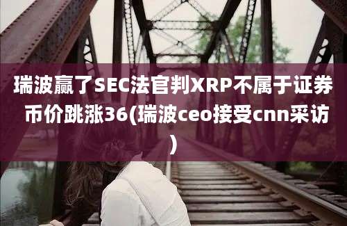 瑞波赢了SEC法官判XRP不属于证券 币价跳涨36(瑞波ceo接受cnn采访)