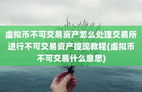 虚拟币不可交易资产怎么处理交易所进行不可交易资产提现教程(虚拟币不可交易什么意思)