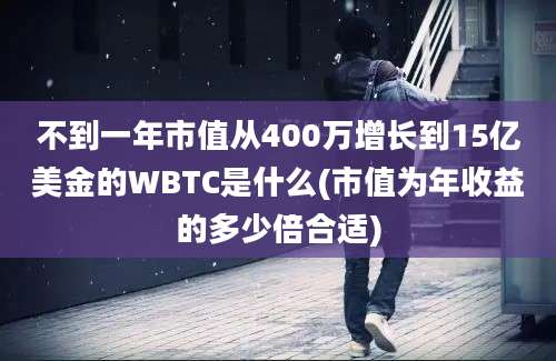 不到一年市值从400万增长到15亿美金的WBTC是什么(市值为年收益的多少倍合适)