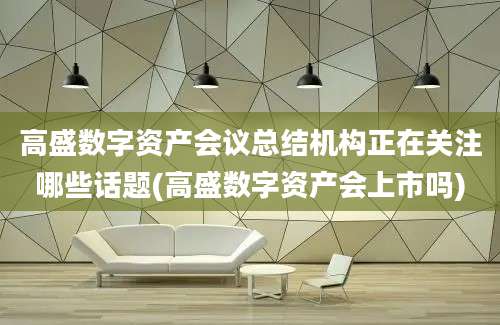 高盛数字资产会议总结机构正在关注哪些话题(高盛数字资产会上市吗)