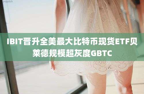 IBIT晋升全美最大比特币现货ETF贝莱德规模超灰度GBTC