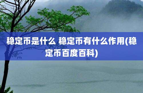 稳定币是什么 稳定币有什么作用(稳定币百度百科)