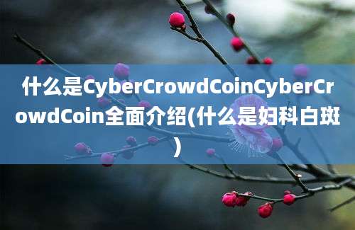 什么是CyberCrowdCoinCyberCrowdCoin全面介绍(什么是妇科白斑)