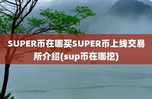 SUPER币在哪买SUPER币上线交易所介绍(sup币在哪挖)