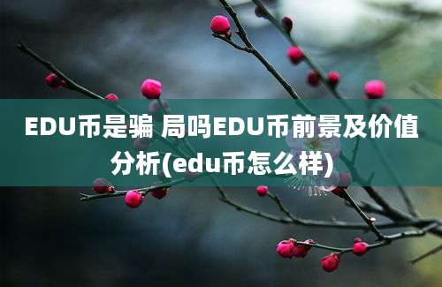 EDU币是骗 局吗EDU币前景及价值分析(edu币怎么样)