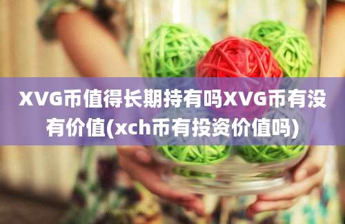 XVG币值得长期持有吗XVG币有没有价值(xch币有投资价值吗)