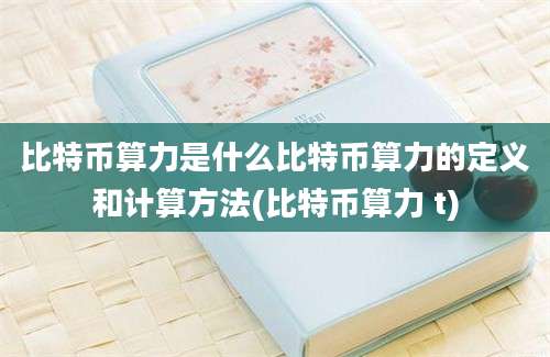 比特币算力是什么比特币算力的定义和计算方法(比特币算力 t)