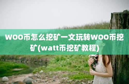 WOO币怎么挖矿一文玩转WOO币挖矿(watt币挖矿教程)