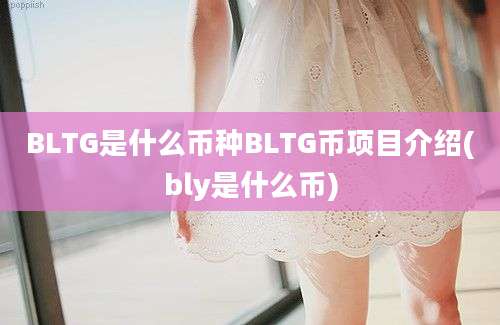 BLTG是什么币种BLTG币项目介绍(bly是什么币)