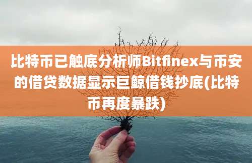 比特币已触底分析师Bitfinex与币安的借贷数据显示巨鲸借钱抄底(比特币再度暴跌)