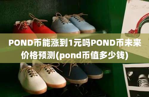 POND币能涨到1元吗POND币未来价格预测(pond币值多少钱)