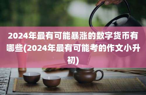 2024年最有可能暴涨的数字货币有哪些(2024年最有可能考的作文小升初)