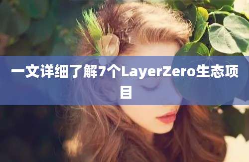 一文详细了解7个LayerZero生态项目