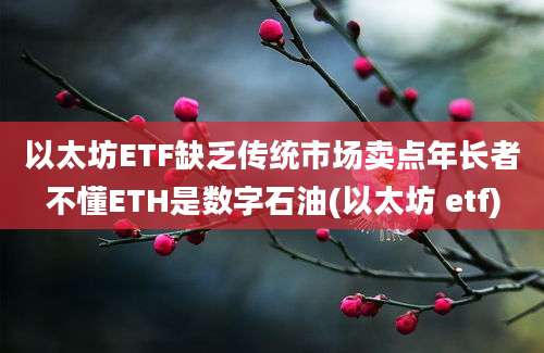 以太坊ETF缺乏传统市场卖点年长者不懂ETH是数字石油(以太坊 etf)