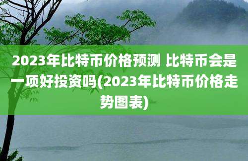 2023年比特币价格预测 比特币会是一项好投资吗(2023年比特币价格走势图表)