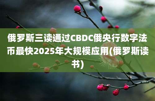 俄罗斯三读通过CBDC俄央行数字法币最快2025年大规模应用(俄罗斯读书)