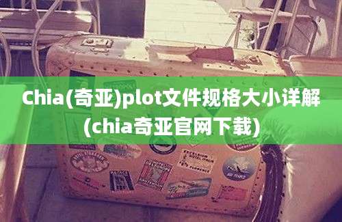 Chia(奇亚)plot文件规格大小详解(chia奇亚官网下载)