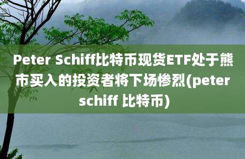 Peter Schiff比特币现货ETF处于熊市买入的投资者将下场惨烈(peter schiff 比特币)