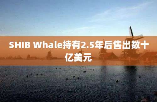 SHIB Whale持有2.5年后售出数十亿美元