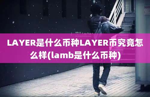 LAYER是什么币种LAYER币究竟怎么样(lamb是什么币种)