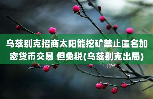 乌兹别克招商太阳能挖矿禁止匿名加密货币交易 但免税(乌兹别克出局)