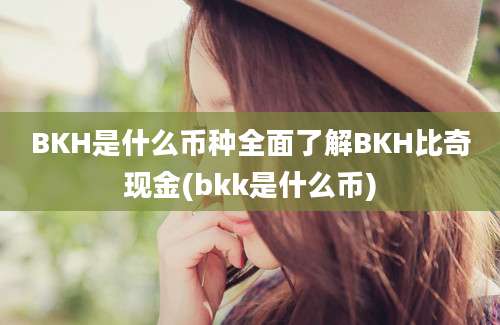 BKH是什么币种全面了解BKH比奇现金(bkk是什么币)