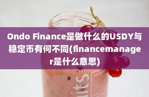 Ondo Finance是做什么的USDY与稳定币有何不同(financemanager是什么意思)