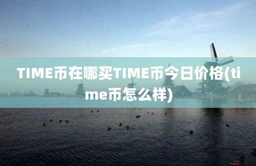 TIME币在哪买TIME币今日价格(time币怎么样)