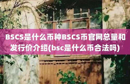 BSCS是什么币种BSCS币官网总量和发行价介绍(bsc是什么币合法吗)