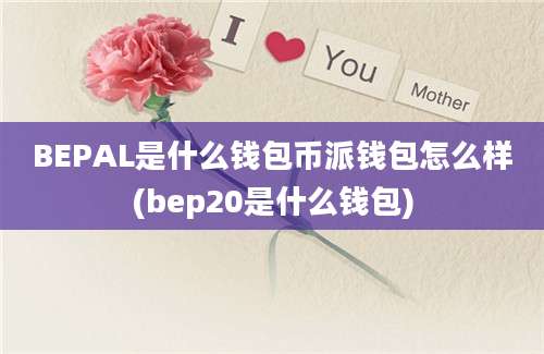 BEPAL是什么钱包币派钱包怎么样(bep20是什么钱包)